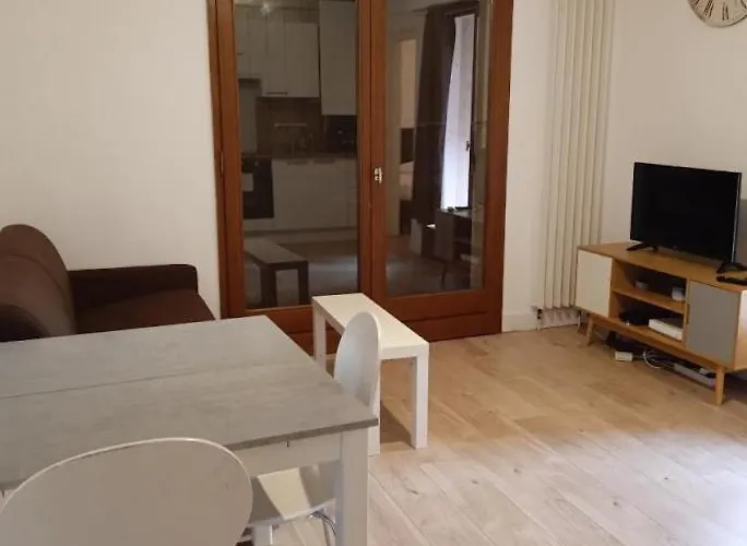 Daire Jolie T2 - Tres Grande Terrasse Thonon-les-Bains